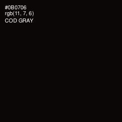 #0B0706 - Cod Gray Color Image